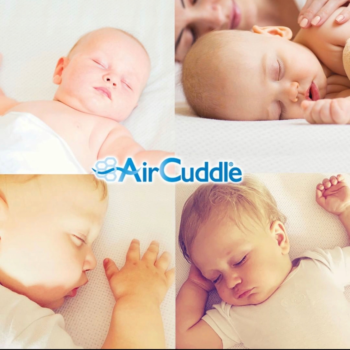 AirCuddle